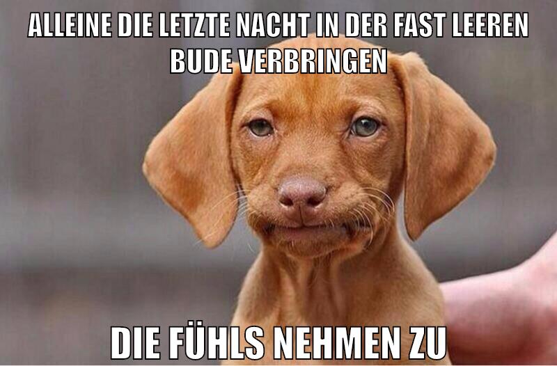 Alleine die letzte Nacht in der fast leeren Bude verbringen Die Fühls nehmen zu