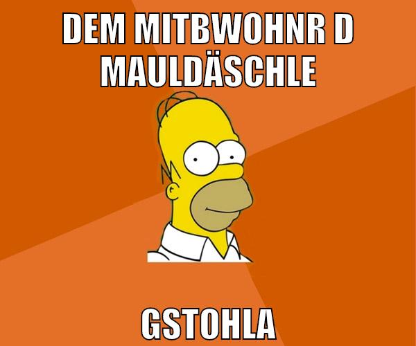dem mitbwohnr d mauldäschle gstohla