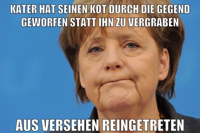 kater hat seinen kot durch die gegend geworfen statt ihn zu vergraben aus versehen reingetreten