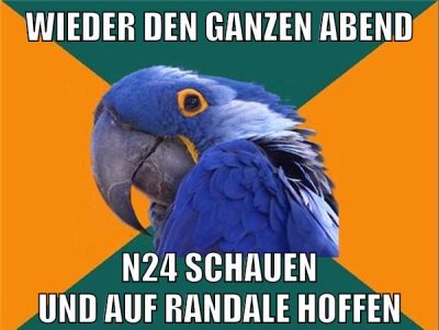 wieder den ganzen abend n24 schauen und auf randale hoffen