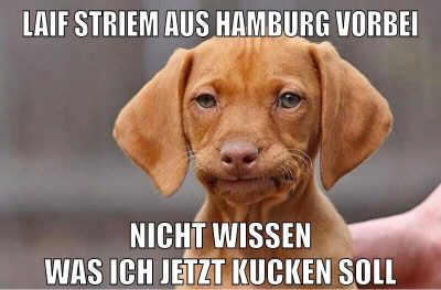 laif striem aus hamburg vorbei nicht wissen was ich jetzt kucken soll