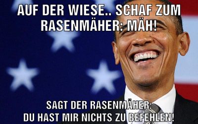 auf der wiese.. schaf zum rasenmäher: mäh! sagt der rasenmäher: du hast mir nichts zu befehlen!