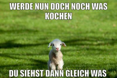 werde nun doch noch was kochen du siehst dann gleich was