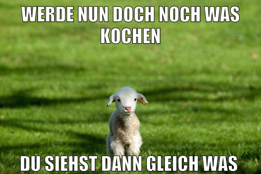 werde nun doch noch was kochen du siehst dann gleich was
