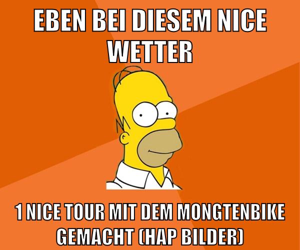 eben bei diesem nice wetter 1 nice tour mit dem mongtenbike gemacht (hap bilder)