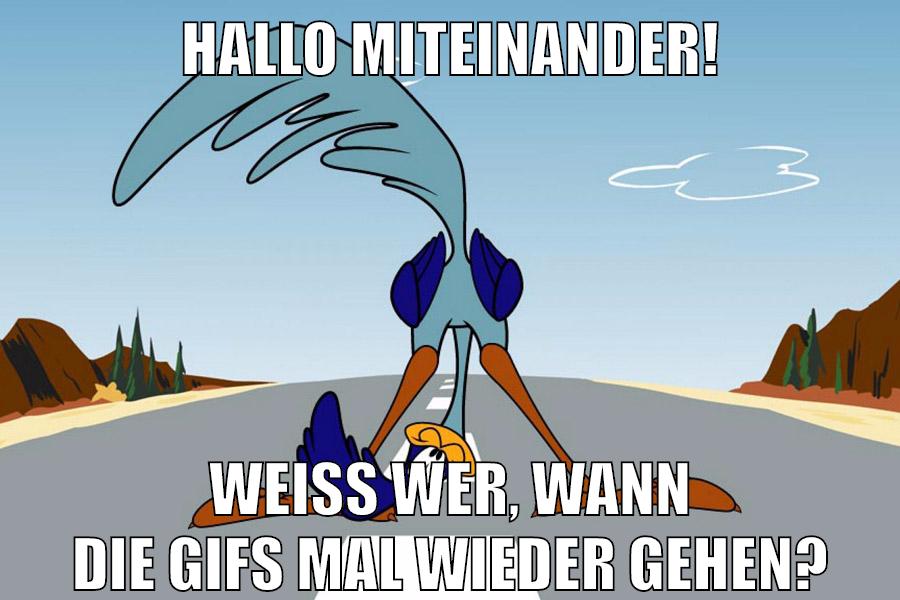 Hallo Miteinander! Weiß wer, wann die Gifs mal wieder gehen?
