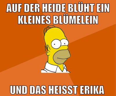 auf der heide blüht ein kleines blümelein und das heißt erika
