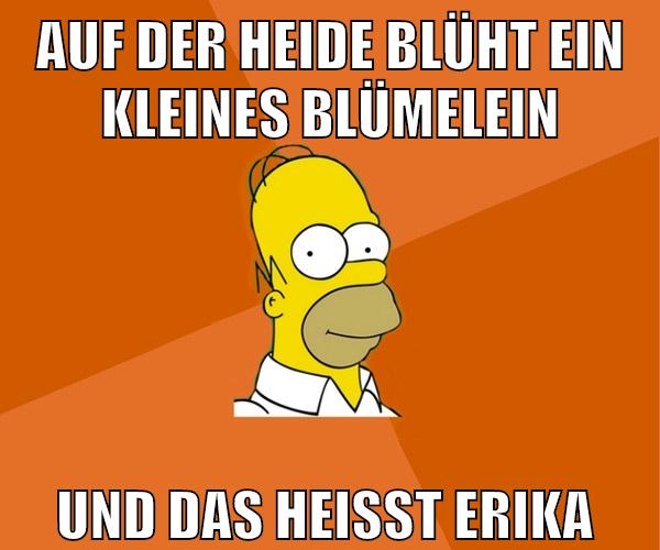 auf der heide blüht ein kleines blümelein und das heißt erika