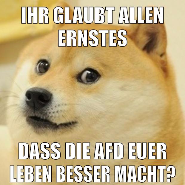 Ihr glaubt allen Ernstes Dass die Afd euer Leben besser macht?