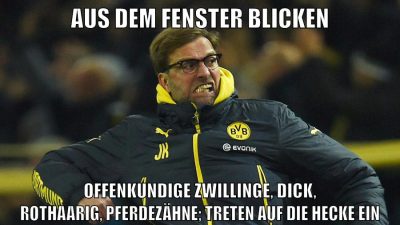 Aus dem Fenster Blicken offenkundige zwillinge, dick, rothaarig, pferdezähne; treten auf die hecke ein