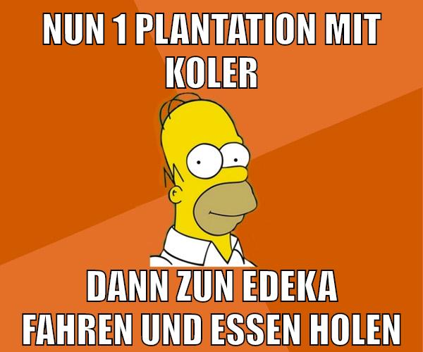 nun 1 plantation mit koler dann zun edeka fahren und essen holen