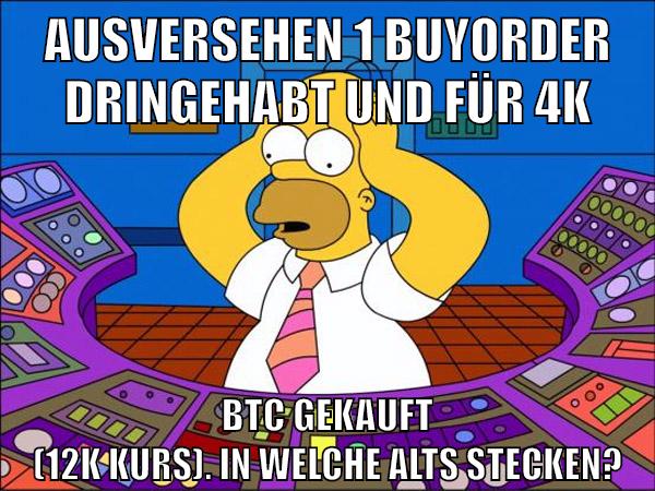 ausversehen 1 buyorder dringehabt und für 4k btc gekauft (12k kurs). In welche Alts stecken?
