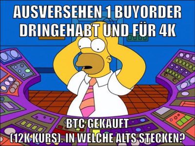 ausversehen 1 buyorder dringehabt und für 4k btc gekauft (12k kurs). In welche Alts stecken?