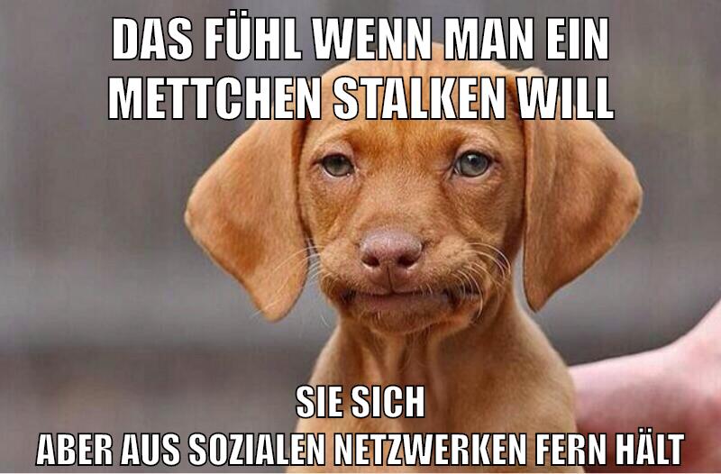 das fühl wenn man ein mettchen stalken will sie sich aber aus sozialen netzwerken fern hält