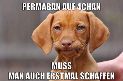 permaban auf 4chan muss man auch erstmal schaffen