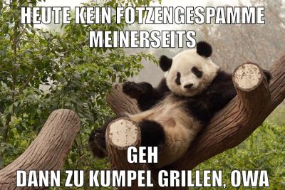 heute kein fotzengespamme meinerseits geh dann zu kumpel grillen, owa