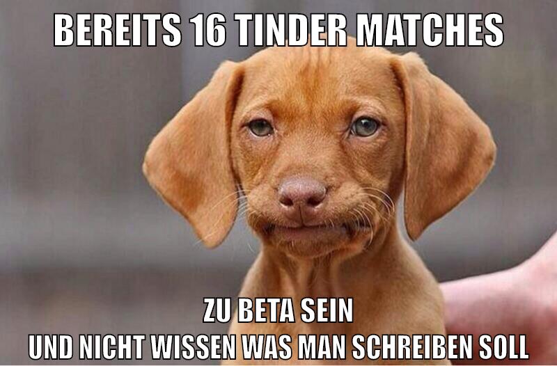 bereits 16 tinder matches zu beta sein und nicht wissen was man schreiben soll