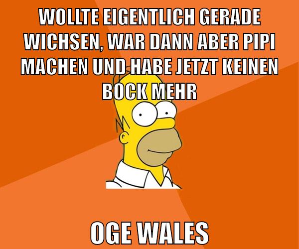 wollte eigentlich gerade wichsen, war dann aber pipi machen und habe jetzt keinen bock mehr oge wales