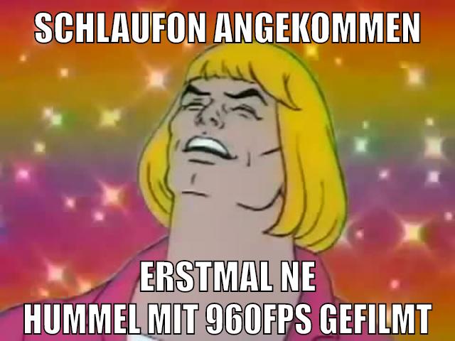 schlaufon angekommen erstmal ne hummel mit 960fps gefilmt