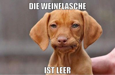 die weinflasche ist leer