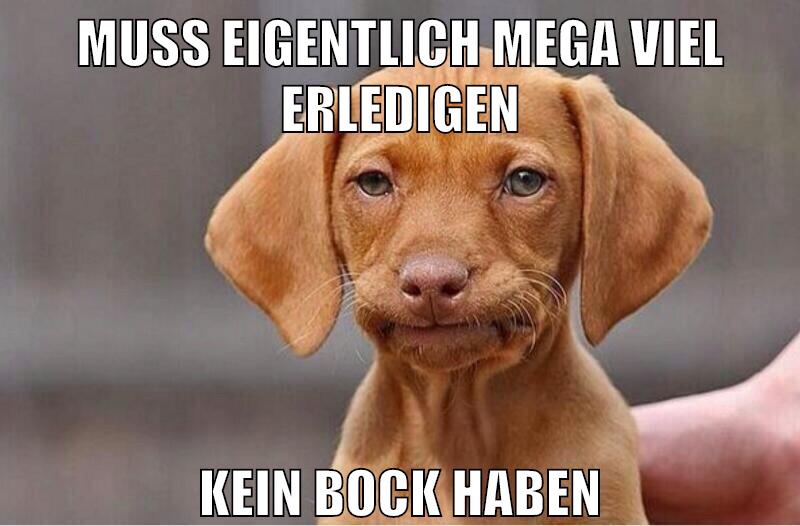 muss eigentlich mega viel erledigen kein bock haben