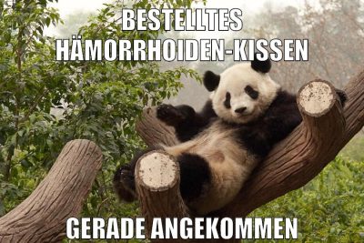 bestelltes hämorrhoiden-kissen gerade angekommen