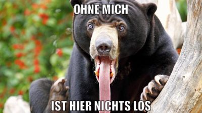 ohne mich ist hier nichts los