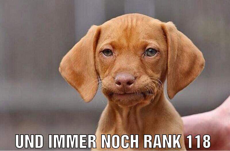 seit monaten immer den besten content liefern und immer noch rank 118