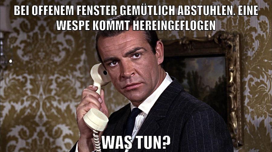 bei offenem fenster gemütlich abstuhlen. eine wespe kommt hereingeflogen was tun?