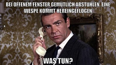 bei offenem fenster gemütlich abstuhlen. eine wespe kommt hereingeflogen was tun?