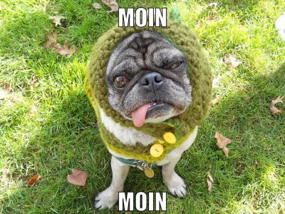 Moin Moin