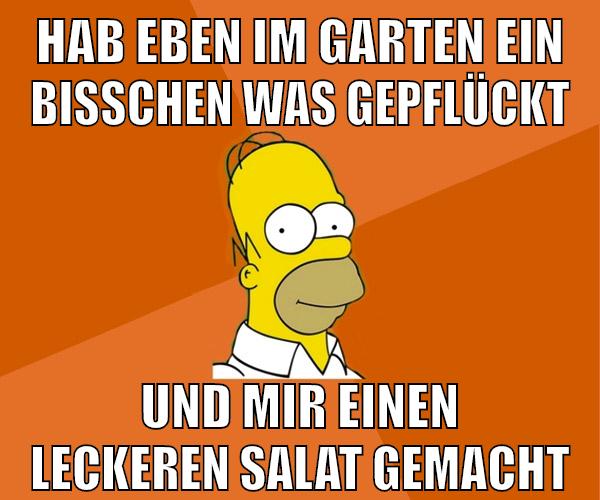 hab eben im garten ein bisschen was gepflückt und mir einen leckeren salat gemacht