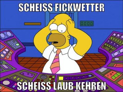 scheiss fickwetter scheiss laub kehren