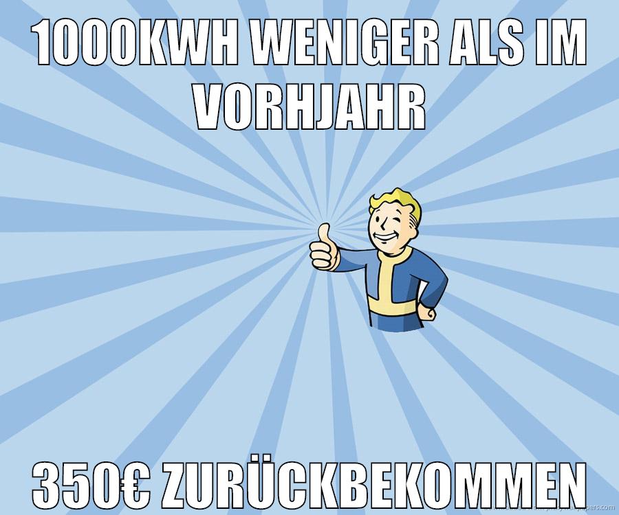 1000kwh weniger als im vorhjahr 350€ zurückbekommen
