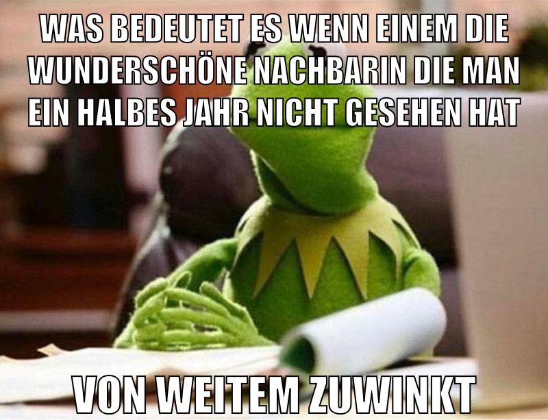 WAS BEDEUTET ES WENN EINEM DIE WUNDERSCHÖNE NACHBARIN DIE MAN EIN HALBES JAHR NICHT GESEHEN HAT VON WEITEM ZUWINKT