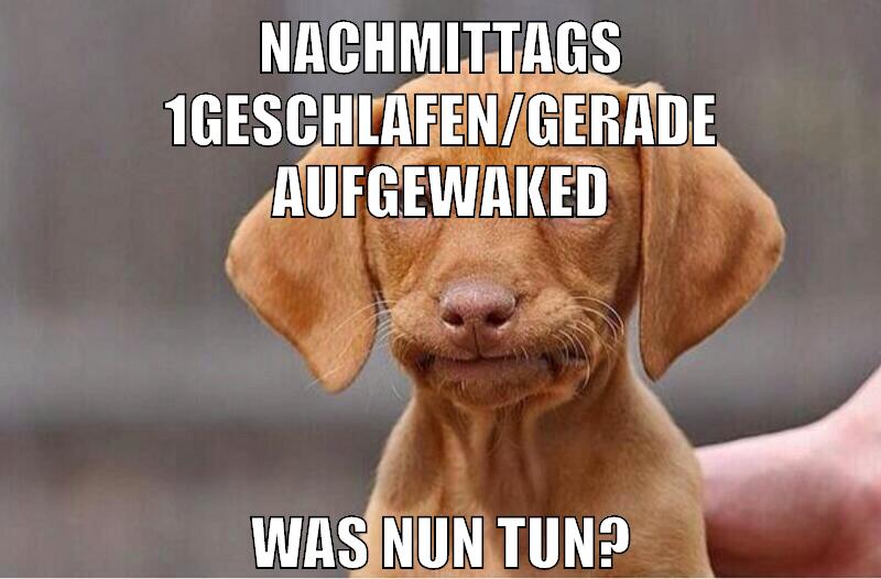 nachmittags 1geschlafen/gerade aufgewaked was nun tun?