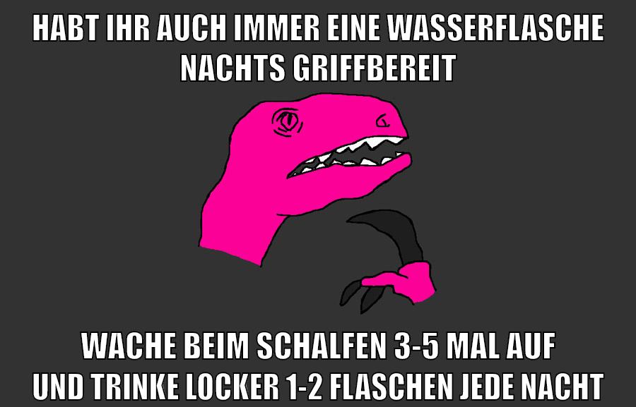 habt ihr auch immer eine wasserflasche nachts griffbereit wache beim schalfen 3-5 mal auf und trinke locker 1-2 flaschen jede nacht