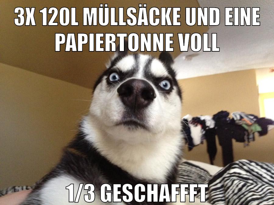 3x 120l müllsäcke und eine papiertonne voll 1/3 geschaffft
