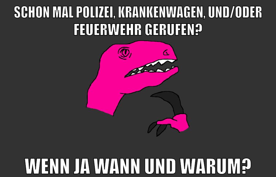 schon mal polizei, krankenwagen, und/oder feuerwehr gerufen? wenn ja wann und warum?
