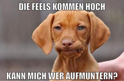 Die Feels kommen hoch kann mich wer aufmuntern?