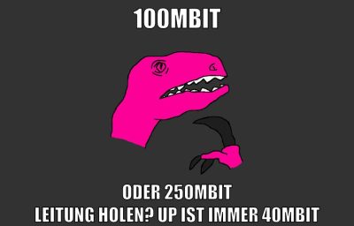 100mbit oder 250mbit leitung holen? up ist immer 40mbit