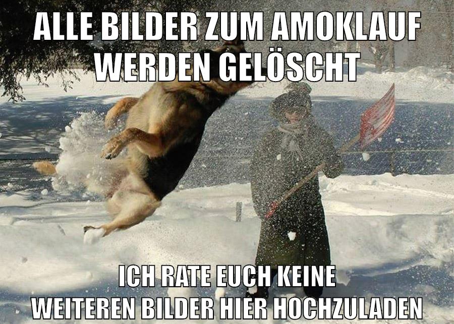 alle bilder zum amoklauf werden gelöscht ich rate euch keine weiteren bilder hier hochzuladen