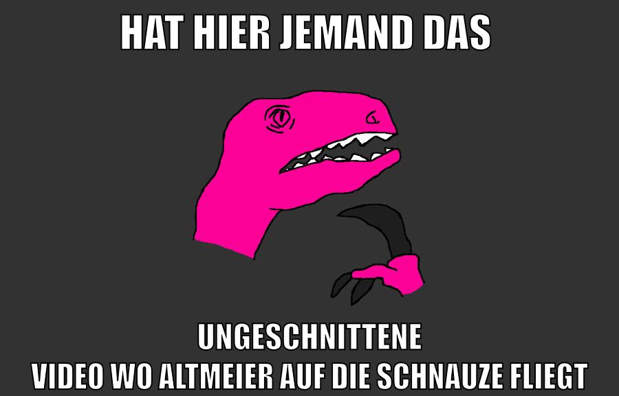 hat hier jemand das ungeschnittene video wo altmeier auf die schnauze fliegt