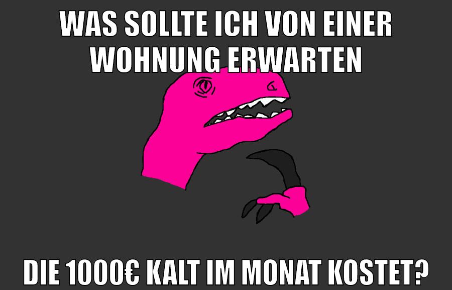 was sollte ich von einer wohnung erwarten die 1000€ kalt im monat kostet?