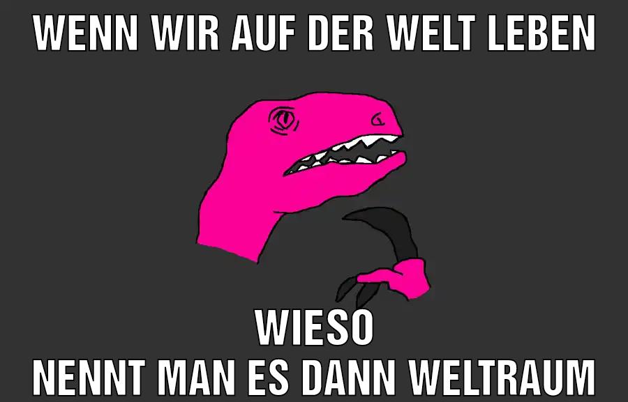 Wenn wir auf der welt leben Wieso nennt man es dann weltraum