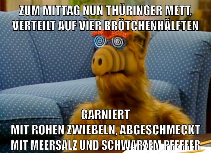 zum mittag nun thüringer mett, verteilt auf vier brötchenhälften garniert mit rohen zwiebeln, abgeschmeckt mit meersalz und schwarzem pfeffer