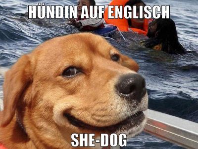 hündin auf englisch she-dog