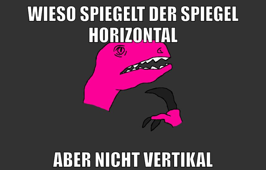 wieso spiegelt der spiegel horizontal aber nicht vertikal