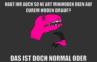 HABT IHR AUCH SO NE ART MINIHODEN OBEN AUF EUREM HODEN DRAUF? das ist doch normal oder