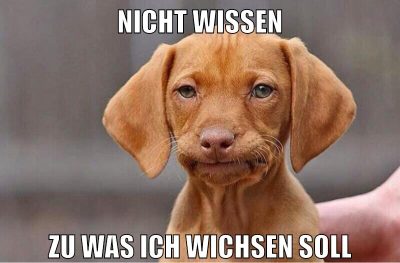 Nicht wissen zu was ich wichsen soll